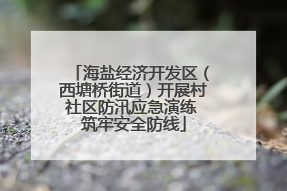 海盐经济开发区（西塘桥街道）开展村社区防汛应急演练 筑牢安全防线