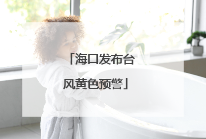 海口发布台风黄色预警