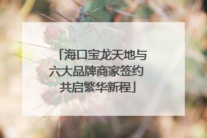 海口宝龙天地与六大品牌商家签约 共启繁华新程