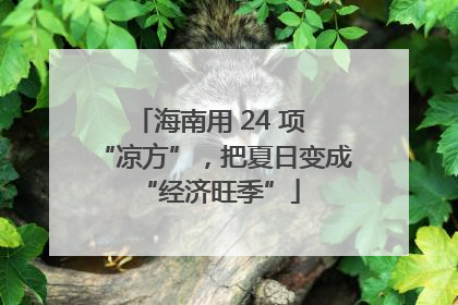 海南用 24 项 “凉方”，把夏日变成 “经济旺季”