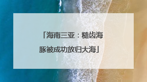 海南三亚：糙齿海豚被成功放归大海