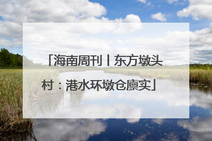 海南周刊丨东方墩头村：港水环墩仓廪实