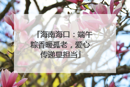 海南海口：端午粽香暖孤老，爱心传递显担当