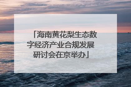 海南黄花梨生态数字经济产业合规发展研讨会在京举办