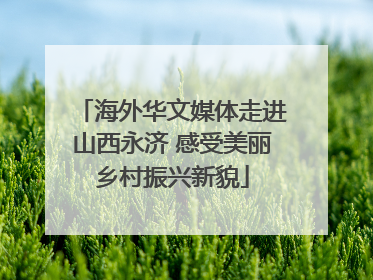 海外华文媒体走进山西永济 感受美丽乡村振兴新貌