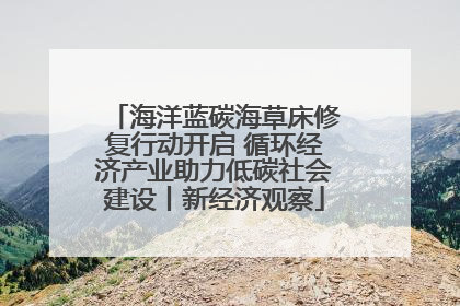 海洋蓝碳海草床修复行动开启 循环经济产业助力低碳社会建设丨新经济观察