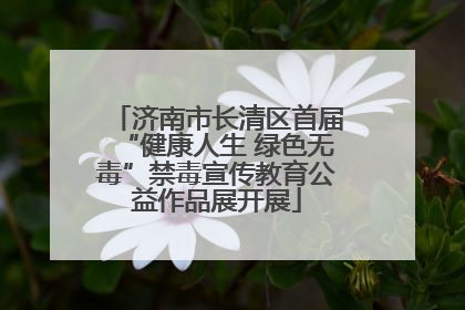 济南市长清区首届“健康人生 绿色无毒”禁毒宣传教育公益作品展开展