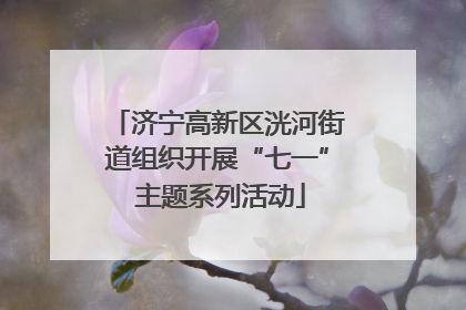 济宁高新区洸河街道组织开展“七一” 主题系列活动
