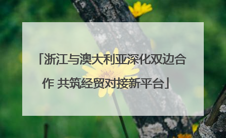 浙江与澳大利亚深化双边合作 共筑经贸对接新平台