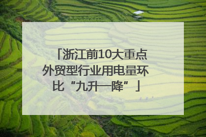 浙江前10大重点外贸型行业用电量环比“九升一降”