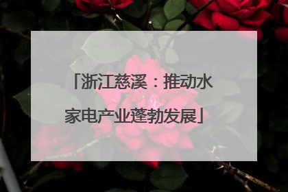 浙江慈溪：推动水家电产业蓬勃发展