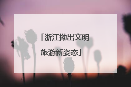 浙江拗出文明旅游新姿态