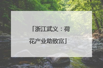 浙江武义：荷花产业助致富