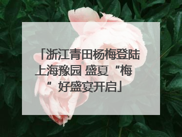 浙江青田杨梅登陆上海豫园 盛夏“梅”好盛宴开启