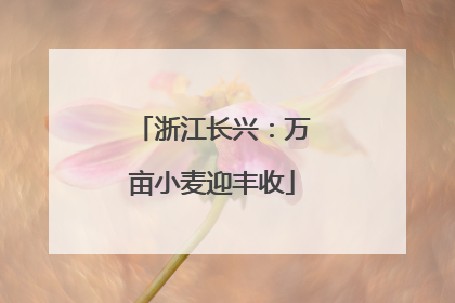 浙江长兴：万亩小麦迎丰收