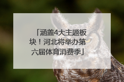 涵盖4大主题板块！河北将举办第六届体育消费季