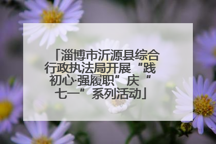 淄博市沂源县综合行政执法局开展“践初心·强履职”庆“七一”系列活动