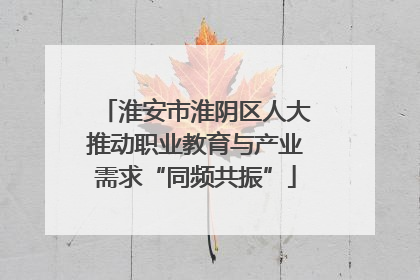 淮安市淮阴区人大推动职业教育与产业需求“同频共振”