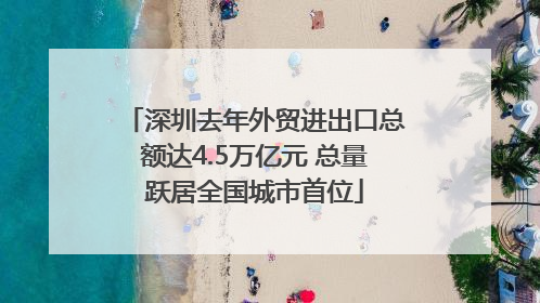 深圳去年外贸进出口总额达4.5万亿元 总量跃居全国城市首位