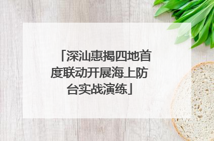 深汕惠揭四地首度联动开展海上防台实战演练