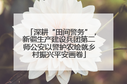 深耕“田间警务”，新疆生产建设兵团第二师公安以警护农绘就乡村振兴平安画卷