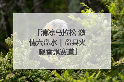 清凉马拉松 激情六盘水｜盘县火腿香飘赛道