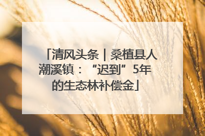 清风头条｜桑植县人潮溪镇：“迟到”5年的生态林补偿金
