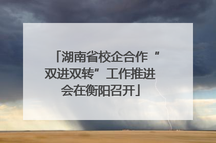 湖南省校企合作“双进双转”工作推进会在衡阳召开