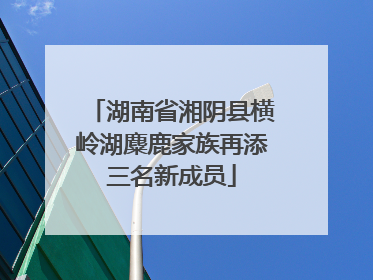 湖南省湘阴县横岭湖麋鹿家族再添三名新成员