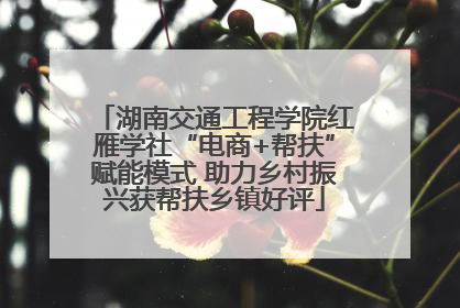 湖南交通工程学院红雁学社“电商+帮扶”赋能模式 助力乡村振兴获帮扶乡镇好评
