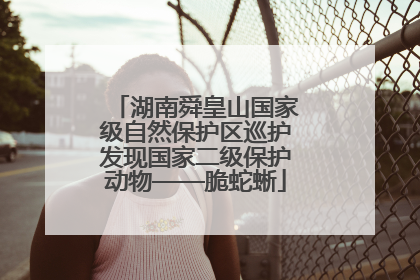 湖南舜皇山国家级自然保护区巡护发现国家二级保护动物——脆蛇蜥
