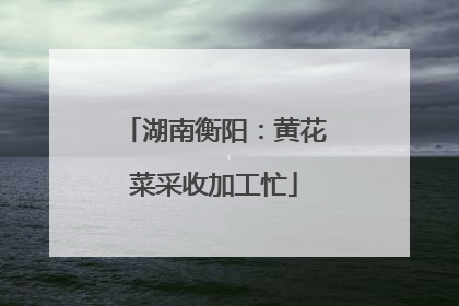 湖南衡阳：黄花菜采收加工忙
