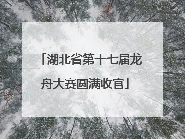 湖北省第十七届龙舟大赛圆满收官