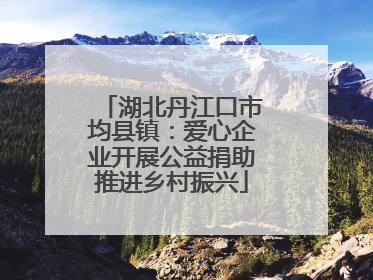 湖北丹江口市均县镇：爱心企业开展公益捐助推进乡村振兴