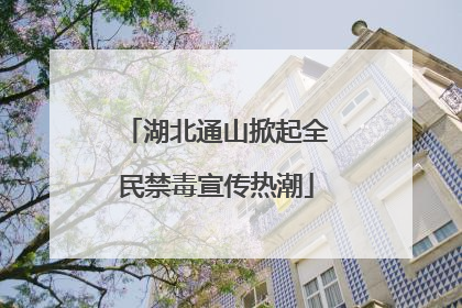 湖北通山掀起全民禁毒宣传热潮
