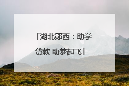 湖北郧西：助学贷款 助梦起飞