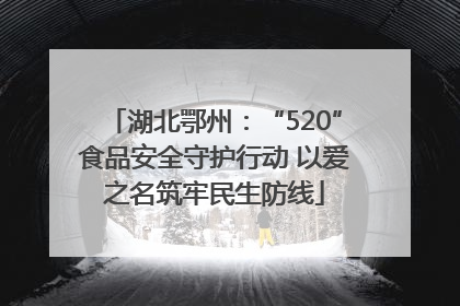湖北鄂州：“520”食品安全守护行动 以爱之名筑牢民生防线