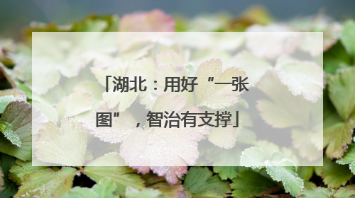 湖北：用好“一张图”，智治有支撑