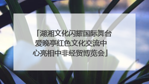 湖湘文化闪耀国际舞台 爱晚亭红色文化交流中心亮相中非经贸博览会