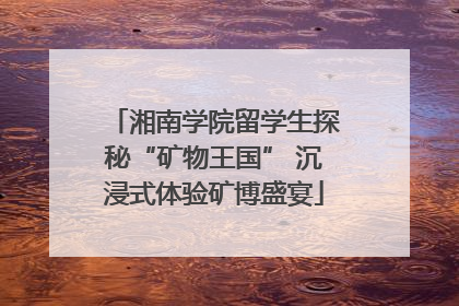 湘南学院留学生探秘“矿物王国” 沉浸式体验矿博盛宴