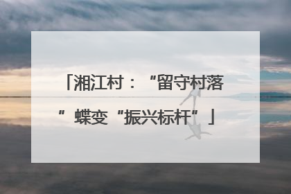 湘江村：“留守村落”蝶变“振兴标杆”