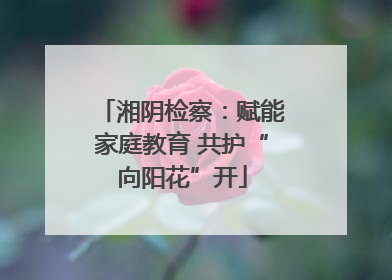 湘阴检察：赋能家庭教育 共护“向阳花”开
