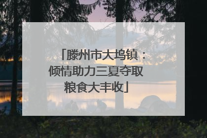 滕州市大坞镇：倾情助力三夏夺取粮食大丰收