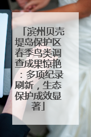 滨州贝壳堤岛保护区春季鸟类调查成果惊艳：多项纪录刷新，生态保护成效显著