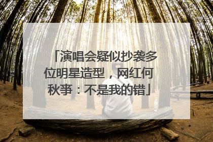 演唱会疑似抄袭多位明星造型，网红何秋亊：不是我的错