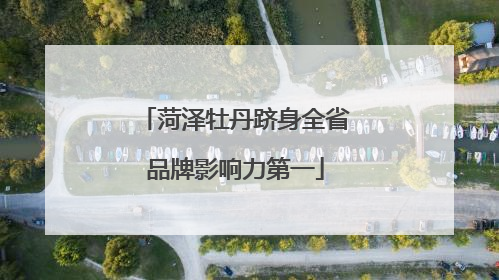 菏泽牡丹跻身全省品牌影响力第一
