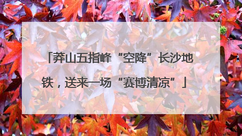 莽山五指峰“空降”长沙地铁，送来一场“赛博清凉”