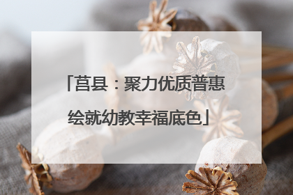 莒县：聚力优质普惠 绘就幼教幸福底色