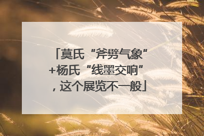 莫氏“斧劈气象”+杨氏“线墨交响”，这个展览不一般