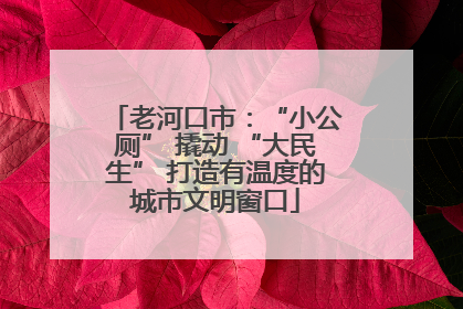 老河口市：“小公厕” 撬动 “大民生” 打造有温度的城市文明窗口